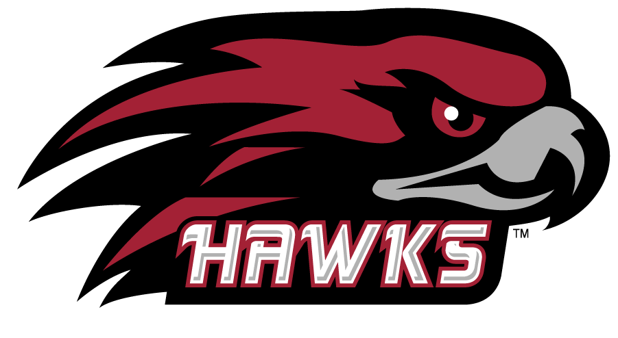 St. Josephs Hawks 2002-2007 Secondary Logo diy iron on heat transfer